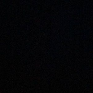 Meet your Posher, Isabella